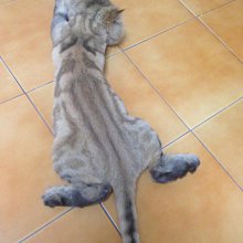 VIP下標區-個性手工腳環【搖滾地鐵 Rock Subway 真情巨獻】現貨 歷史價格詳細信息