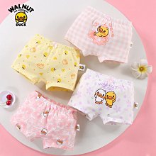 Walnut原木磁鐵款+專用筆套 ※台北快貨※美國原裝 Pencil by FiftyThree 53 藍牙觸控筆 歷史價格詳細信息