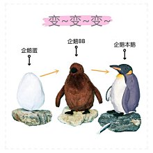 三階段成長型學習筷 寶寶輔助筷 兒童學習筷 指環可拆恐龍學習筷 學習餐具-雪倫小舖 歷史價格詳細信息