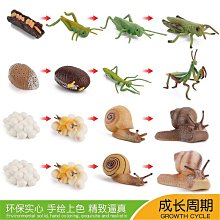 ♞     夏季帽子男女太陽帽網眼透氣防晒帽戶外遮陽帽釣魚休閒速幹棒球帽 歷史價格詳細信息