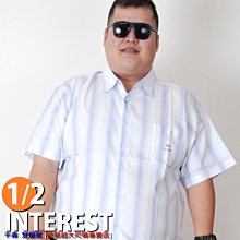 千森梵迪妮 加大尺碼-台灣精品短袖襯衫【52/56/60吋】精緻質料-經典直條紋-淺紫111023-63 價格比較,價格查詢,歷史價格詳細信息