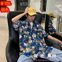 【大容量】古典花卉4x6+6x8相片套入插式口袋式600張婚禮.居家相本相簿相冊-- 盒裝收納 歷史價格詳細信息