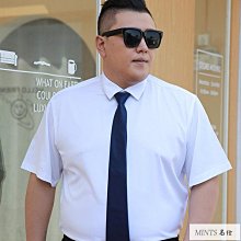 【胖大】【名硕】春夏季新款時尚防曬絲巾 柔軟孔雀羽毛印花圍巾 時尚潮流保暖圍脖 歷史價格詳細信息