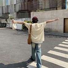 小眾款短袖翻領襯衫 挺版襯衫 素色襯衫 素面襯衣 寬鬆襯衫 短袖襯衣 簡約短袖襯衫 GRASS 現貨 [A610] 歷史價格詳細信息