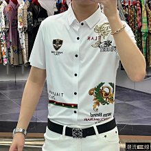 歐美大碼高排扣強效收腹束束腹塑型美體塑身腹部塑形器 歷史價格詳細信息