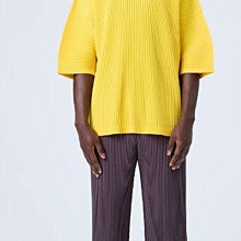 HOMME PLISSE ISSEY MIYAKE 三宅一生 PLEATS BELT 黑皺摺皮革金屬 腰帶 全新正品現貨 歷史價格詳細信息
