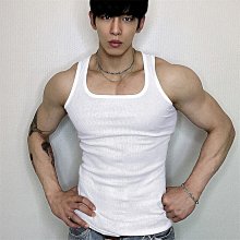 夏季男士背心 條紋純棉外穿潮流坎肩 無袖T恤 運動健身汗衫-台灣嘉雜貨鋪 歷史價格詳細信息