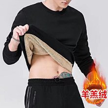 羔羊絨大學T套裝 大尺碼運動套裝 冬季刷毛加厚保暖 大學T 束口褲 男生連帽大學T 連帽T 學生休閒百搭兩件套 歷史價格詳細信息