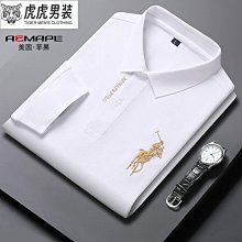 大尺碼翻領繡標短袖POLO 男POLO 風男士休閒軍旅戰術風 歷史價格詳細信息