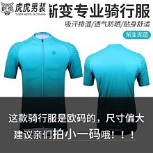 公路車 山地車 夏季騎行服 腳踏車裝備GRC夏季短袖薄款戶外山地公路腳踏車騎行服速乾透氣接受專業訂製~安欣好物 歷史價格詳細信息