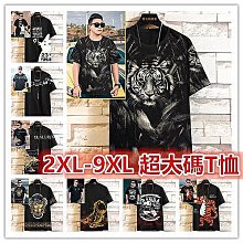 男士 2XL-9XL 大尺碼泳裝 男生泳衣 長袖拉鍊分體防曬泳裝 防尷尬溫泉潛水速乾水母衣防曬满599免運 歷史價格詳細信息