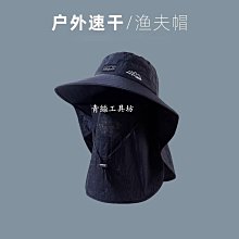 正品虎哥推薦汽車三元催化劑清洗髮動機內部去除碳催化劑氣節門凈化器 DSV7-雅緻家居 歷史價格詳細信息