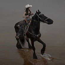 帽子 羽毛碎紋皮革復古民族風西部牛仔帽子男女四季戶外遮陽藏族爵士帽 歷史價格詳細信息