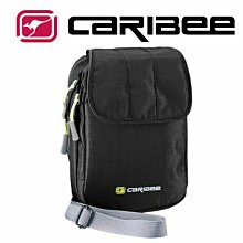 Caribee TSA 密碼鎖/安全鎖/行李鎖/海關鎖/出國旅遊 Citadel TSA Lock 銀色 CB-1375 歷史價格詳細信息