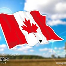 國旗飄揚 臺灣加油 節日 國慶紋身貼紙特賣 歷史價格詳細信息