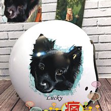手繪瘋 [手繪 寫真 LOGO Jolin 帥爆 斧頭 斧頭幫 蔡依林 安全帽 手工 彩繪 客訂 客製化 歷史價格詳細信息