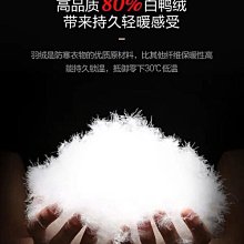 【旗艦新款】大徽菲涅爾抗光幕布家用幕布極米堅果當貝海信愛普生4K超高清畫框布幕16:9超窄邊激~台便利 歷史價格詳細信息