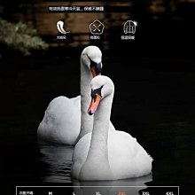 冬季新款男士中長款加厚連帽羽絨服反季青年潮流白鴨絨外套男 歷史價格詳細信息