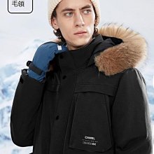 駱駝牌中筋麵粉/1kG 歷史價格詳細信息