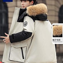 羽絨服 雅鹿男士輕薄羽絨服秋冬季新款翻領男款輕便翻領羽絨防寒外套 歷史價格詳細信息