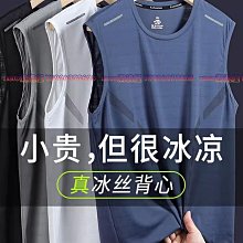 涼感 冰絲 男T 無袖t恤男士夏季簡約寬松新款輕薄冰絲字母印花速干背心坎肩上衣 歷史價格詳細信息