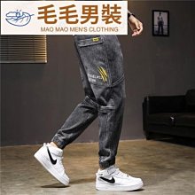 褲子男 保暖褲 秋冬新款博澳絨休閑褲男純色寬松運動褲潮流束腳哈倫褲百搭小腳褲 歷史價格詳細信息