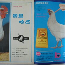 60年代 - 台灣養 豬 雞 - 肥豬公 廣告很多 歷史價格詳細信息