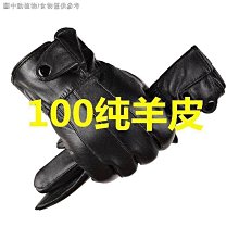 真皮手套男冬季加絨加厚保暖觸屏皮手套防風防寒騎行開車摩托車女 歷史價格詳細信息