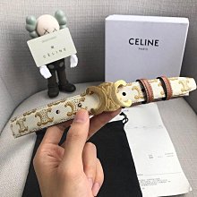 CELINE 新款印花棉質GABARDINE混紡TREKKING拉鍊腰包 (卡其) 歷史價格詳細信息