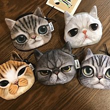 小花貓不見了－多元智能發展故事屋[二手書_良好]2234 TAAZE讀冊生活 歷史價格詳細信息