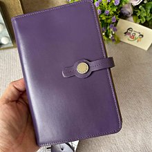 ♥︎MAYA日雜♥︎日本 迪士尼 童話 公主 保溫保冷 精美刺繡 手提袋 便當袋 小紅帽/愛麗絲/長髮公主（貨況請詢問） 歷史價格詳細信息