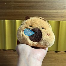 水豚君卡比巴拉 小夜燈 歷史價格詳細信息