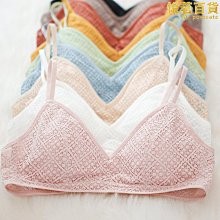 爆炸了蜂蜜[二手書_良好]3660 TAAZE讀冊生活 歷史價格詳細信息