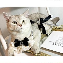 【優選】寵物外出飲水器便攜隨行杯彩色外出喝水杯旅行飲水器餵水杯 歷史價格詳細信息