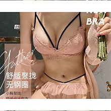 【好康】高檔性感無鋼圈文胸套裝聚攏蕾絲小胸罩上託調整型平胸加厚款內衣 歷史價格詳細信息