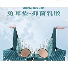 【熱賣】人兔耳朵水晶杯內衣女大胸顯小蕾絲防下垂無鋼圈夏季薄款文胸罩 價格比較,價格查詢,歷史價格詳細信息
