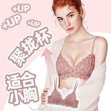 【締造】內yi 小可愛 雪俐浪漫蕾絲內yi女兔耳杯大胸顯小夏季超薄款無鋼圈聚攏防下垂 歷史價格詳細信息