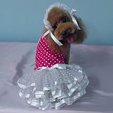 敗犬女王寵物手工衣~狗狗衣服量身訂作~熱情如火浪漫婚紗婚紗禮服(不含帽)~客制化寵物衣--大型犬-- 歷史價格詳細信息