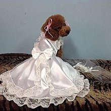 韓式白色手工水晶頭飾伴娘新娘婚紗花環發飾韓式珍珠頭花發箍髮帶【E-673】幸福之花格桑花髮帶花圈人造花髮箍髮帶髮圈/南洋 歷史價格詳細信息