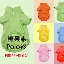現貨 ♛ iBuddy T恤【SC-03】糖果 POLO  胸圍44-49公分✪狗狗衣服 貓咪衣服 價格比較,價格查詢,歷史價格詳細信息
