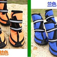 【元泰】元氣白馬毛/花馬毛 竹牙刷 歷史價格詳細信息