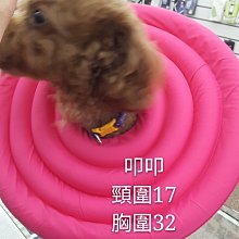 精品色狗寵物吹風機筒大功率狗狗貓咪吹水機吹毛神器寵物店美容師專用 歷史價格詳細信息