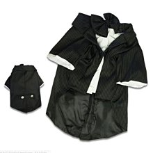 寵物黑科技 涼感冰絲墊(XL超大號) 寵物墊 涼墊 狗床 貓床 睡墊 寵物冰絲床 歷史價格詳細信息