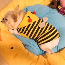 【胖胖糖】牛轉錢坤領巾項圈(M)-寵物項圈 安全扣 可伸縮 中小型犬適用 頸圈 貓項圈 狗項圈 口水巾 三角巾 歷史價格詳細信息