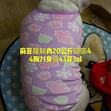 狗狗春秋裝寵物衣服薄款法斗巴哥比熊泰迪西高地柯基T恤透氣柔軟 歷史價格詳細信息