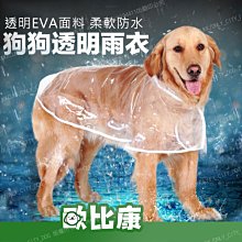 EVA 中通浮標 加管 小四喜 小三元 巨蛋 恐龍蛋 釣魚 白帶 岸釣 | AURA專業品牌釣具館 歷史價格詳細信息