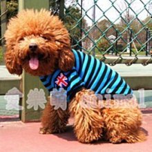 英倫國旗風造型牛仔褲 歷史價格詳細信息