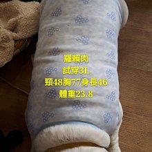 狗衣服 小型犬泰迪狗狗衣服春秋冬裝秋裝兩腳衣超夯 精品 歷史價格詳細信息