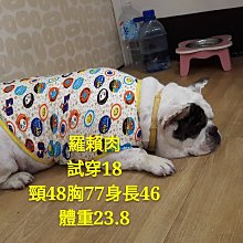 現貨新款明基投影機 MX514P MX514P+ MX515H MX520 MX520H MX522P鏡頭 歷史價格詳細信息