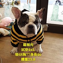 兩腳衣 狗狗衣服 小型犬幼犬 貓衣服 新款帶帽寵物衣服 狗衣服 狗狗連帽大學T薄絨保暖 貓咪防掉毛 貓咪衣服 歷史價格詳細信息